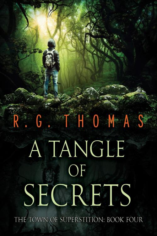 Cover of the book A Tangle of Secrets by R. G. Thomas, Dreamspinner Press