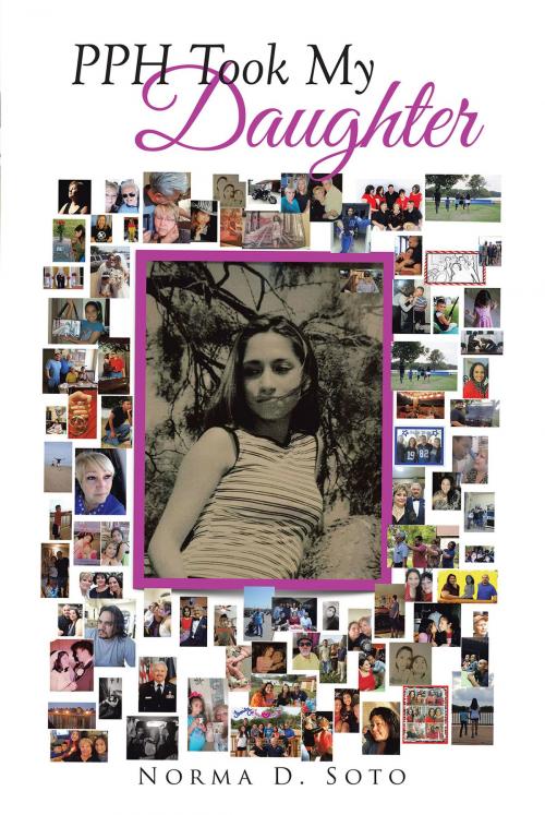 Cover of the book PPH Took My Daughter by Norma D. Soto, Page Publishing, Inc.