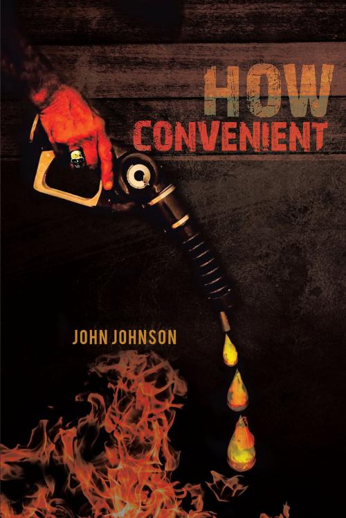Cover of the book How Convenient by John Johnson, Page Publishing, Inc.