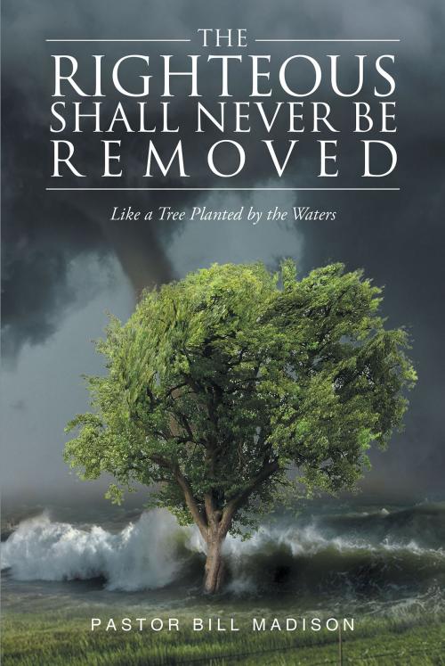 Cover of the book The Righteous Shall Never be Removed by Pastor Bill Madison, Christian Faith Publishing