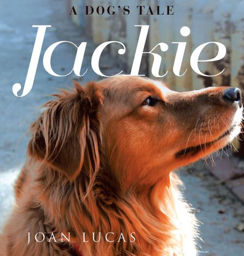 Cover of the book Jackie: A Dog's Tale by Joan Lucas, Page Publishing, Inc.
