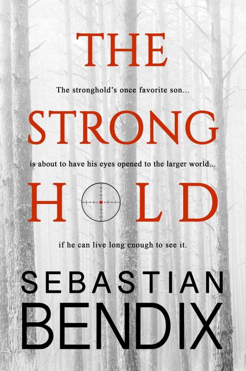Cover of the book The Stronghold by Sebastian Bendix, Melange Books, LLC