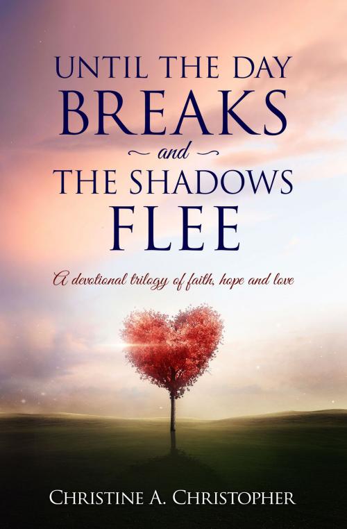 Cover of the book Until The Day Breaks and the Shadows Flee by Christine A. Christopher, Redemption Press