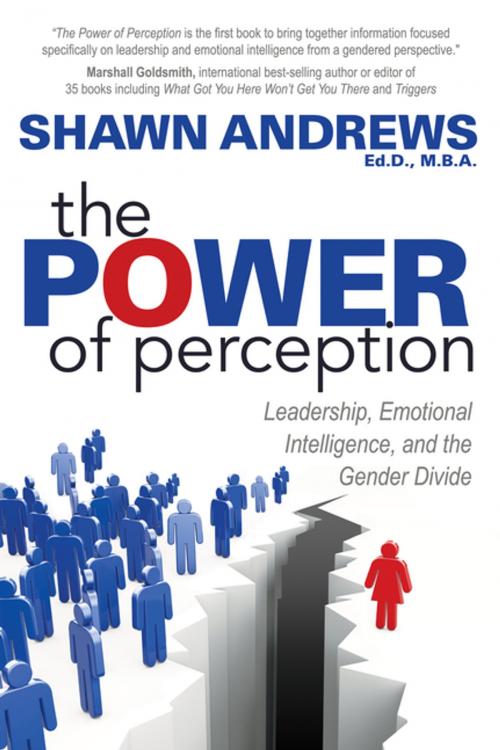 Cover of the book The Power of Perception by Shawn Andrews, Ed.D., M.B.A., Morgan James Publishing