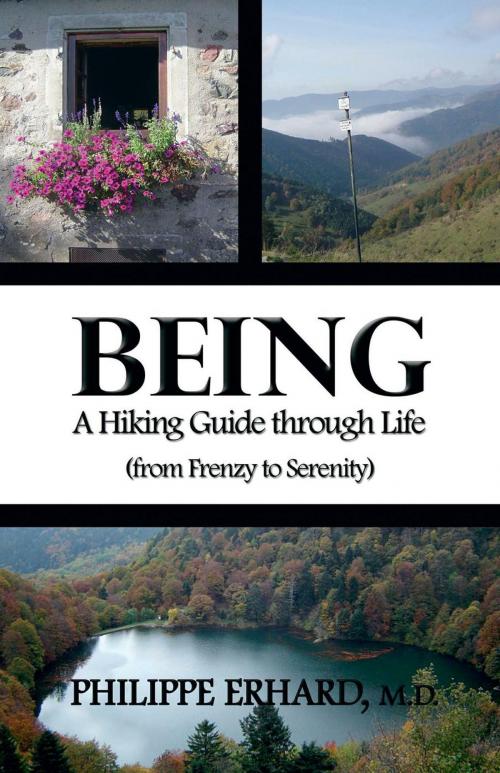 Cover of the book Being: A Hiking Guide Through Life by Dr.  Philippe Erhard, FriesenPress