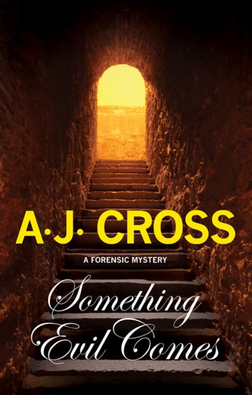 Cover of the book Something Evil Comes by A.J. Cross, Severn House Publishers