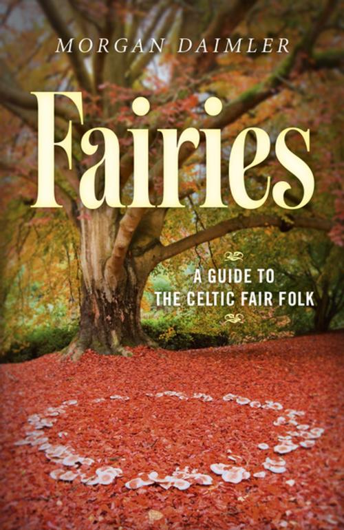 Cover of the book Fairies: by Morgan Daimler, John Hunt Publishing