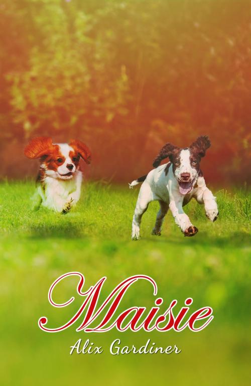 Cover of the book Maisie by Alix Gardiner, Austin Macauley