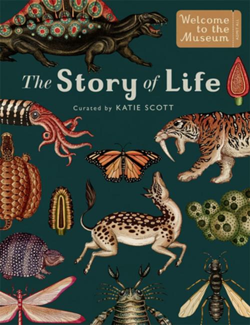 Cover of the book The Story of Life: Evolution (Extended Edition) by Ruth Symons, Templar