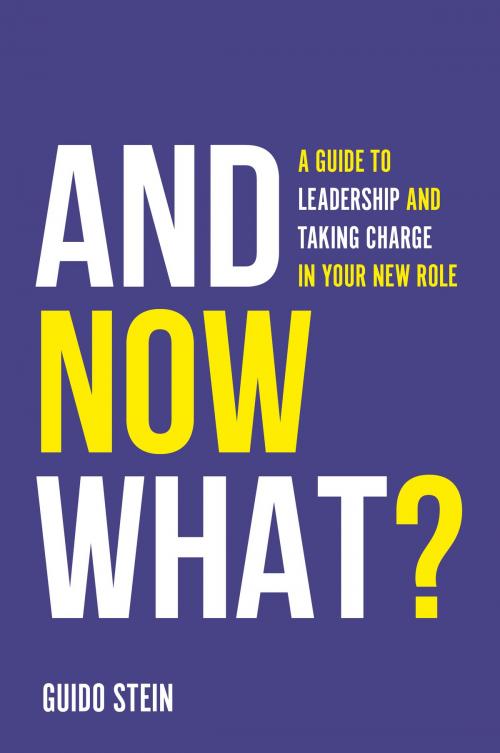 Cover of the book And Now What? by Professor Guido Stein, Emerald Publishing Limited