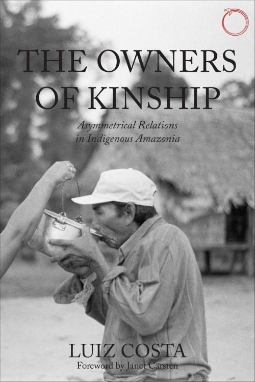 Cover of the book The Owners of Kinship by Luiz Costa, HAU