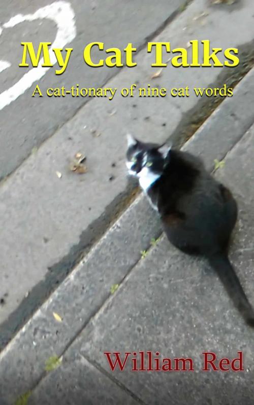 Cover of the book My Cat Talks by William Red, MoshPit Publishing