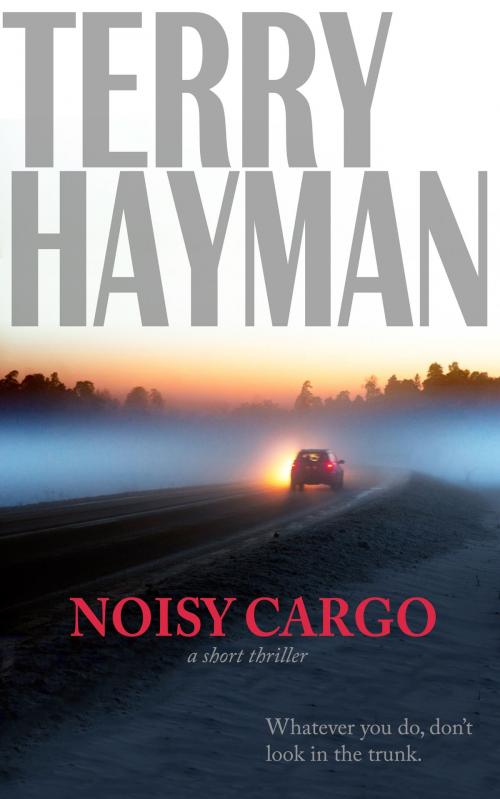 Cover of the book Noisy Cargo by Terry Hayman, Fiero Publishing