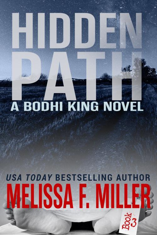 Cover of the book Hidden Path by Melissa F. Miller, Brown Street Books