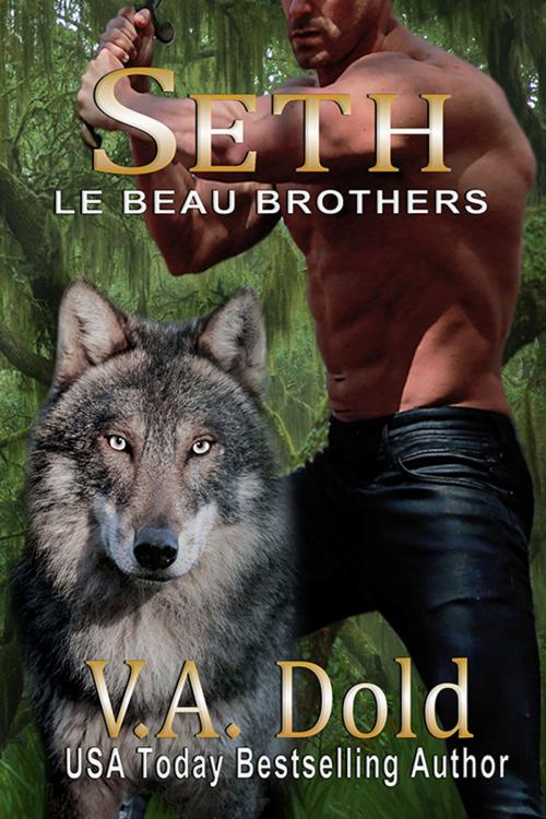 Cover of the book SETH by V.A. Dold, Vadold