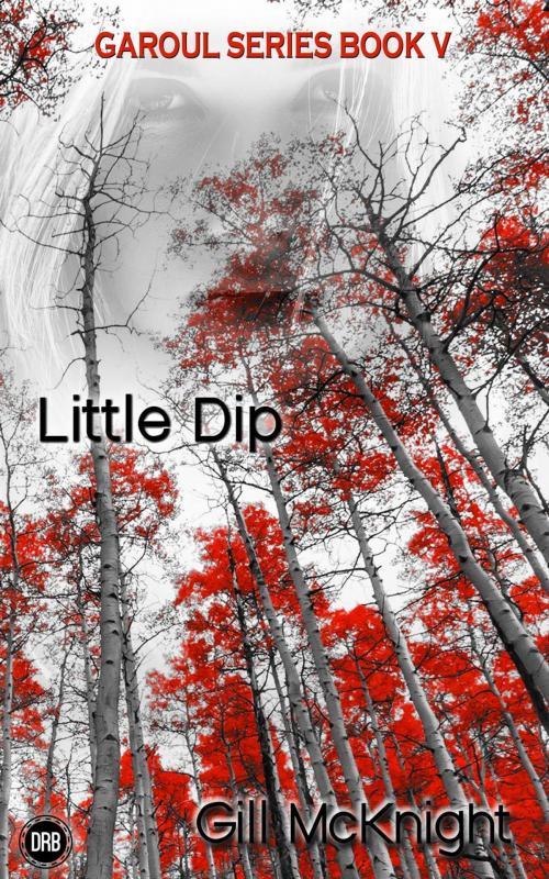 Cover of the book Little Dip by Gill McKnight, Dirt Road Books