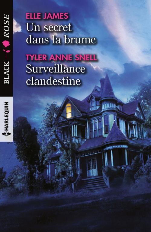 Cover of the book Un secret dans la brume - Surveillance clandestine by Tyler Anne Snell, Elle James, Harlequin
