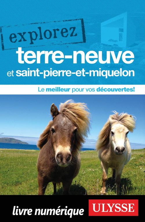 Cover of the book Explorez Terre-Neuve et Saint-Pierre-et-Miquelon by Benoit Prieur, Frédérique Sauvée, Guides de voyage Ulysse