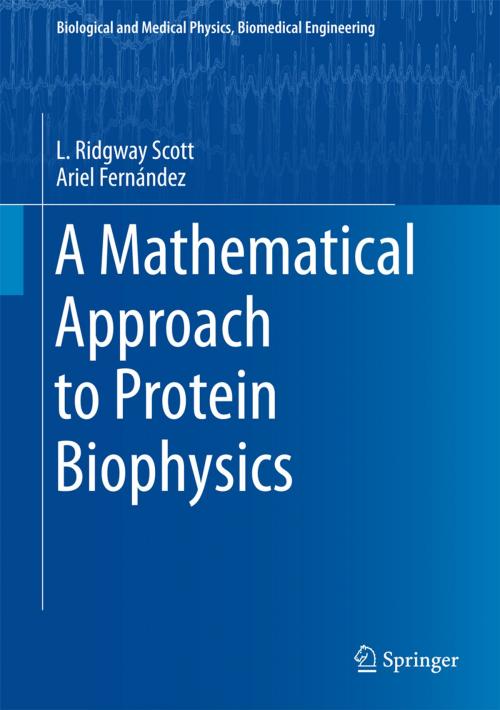 Cover of the book A Mathematical Approach to Protein Biophysics by L. Ridgway Scott, Ariel Fernández, Springer International Publishing