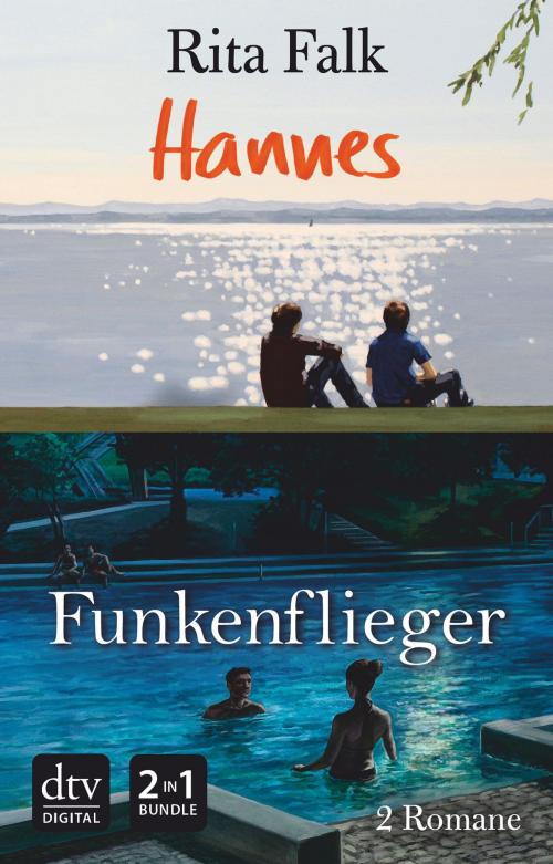 Cover of the book Hannes - Funkenflieger by Rita Falk, dtv