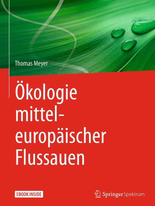 Cover of the book Ökologie mitteleuropäischer Flussauen by Thomas Meyer, Springer Berlin Heidelberg