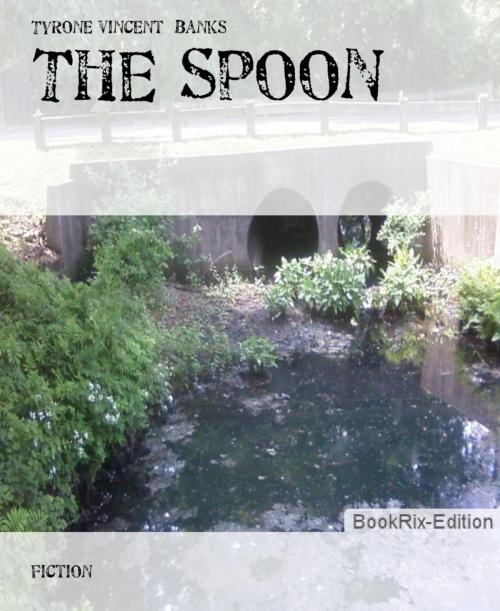 Cover of the book The Spoon by Tyrone Vincent Banks, BookRix