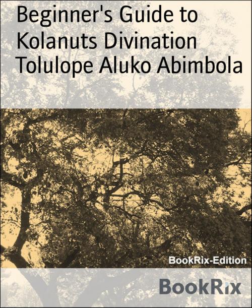 Cover of the book Beginner's Guide to Kolanuts Divination by Tolulope Aluko Abimbola, BookRix