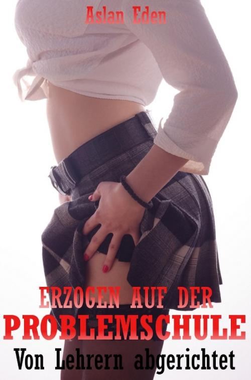 Cover of the book Erzogen auf der Problemschule - Von Lehrern abgerichtet by Aslan Eden, epubli