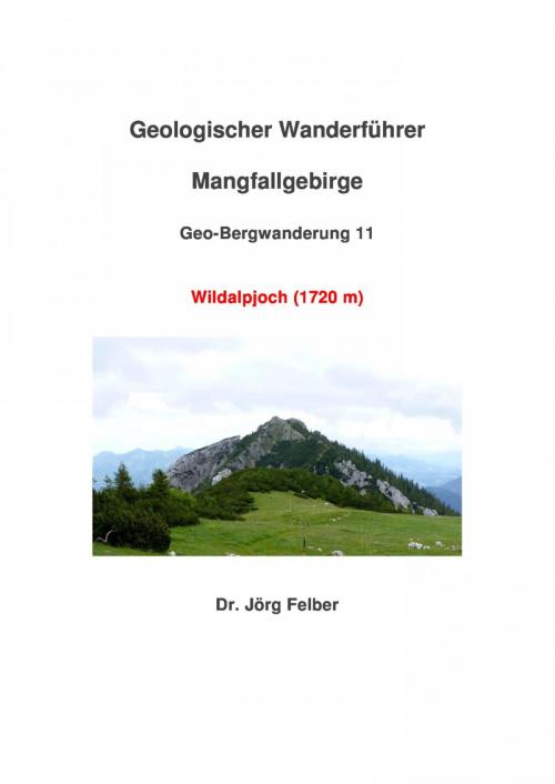 Cover of the book Geo-Bergwanderung 11 Wildalpjoch (1720 m) by Jörg Felber, epubli