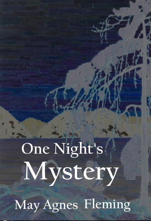 Cover of the book One Night's Mystery by May Agnes Fleming, idb