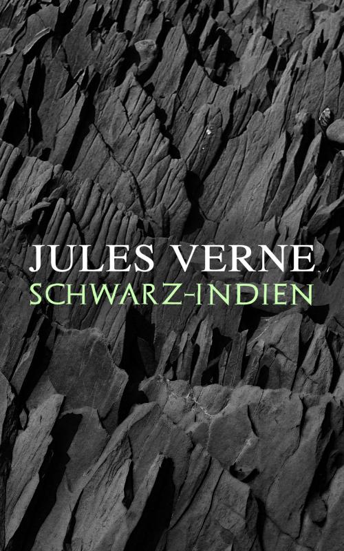 Cover of the book Schwarz-Indien by Jules Verne, e-artnow