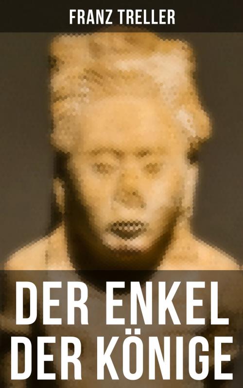 Cover of the book Der Enkel der Könige by Franz Treller, Musaicum Books