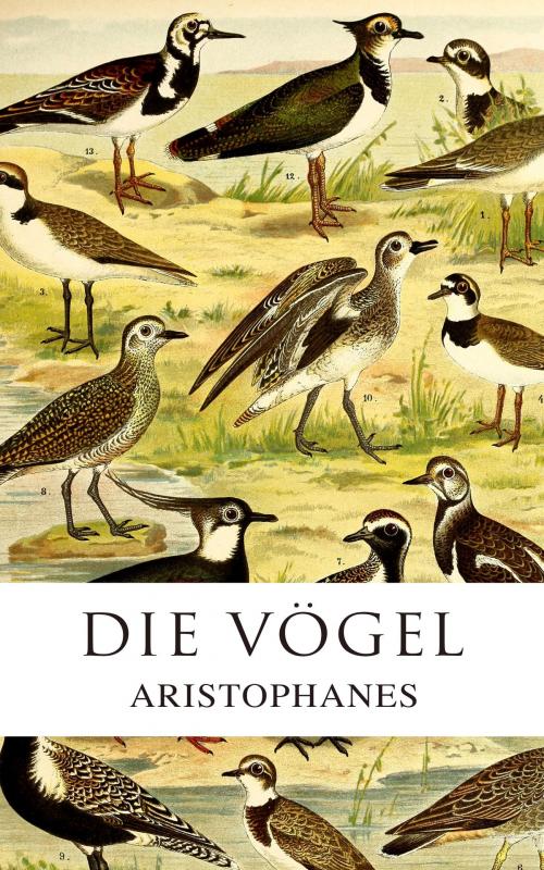Cover of the book Die Vögel by Aristophanes, e-artnow