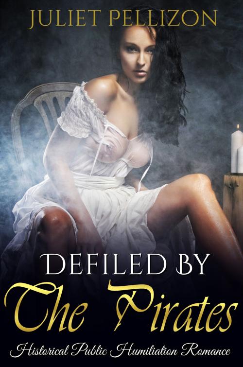 Cover of the book Defiled By The Pirates by Juliet Pellizon, 25 Ea