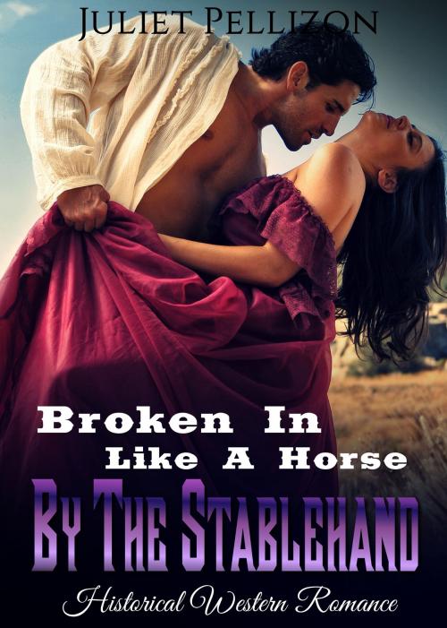 Cover of the book Broken In Like A Horse By The Stablehand by Juliet Pellizon, 25 Ea