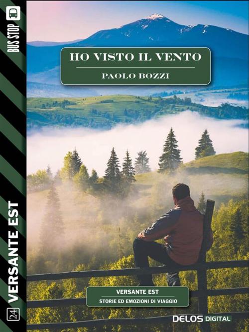 Cover of the book Ho visto il vento by Paolo Bozzi, Delos Digital