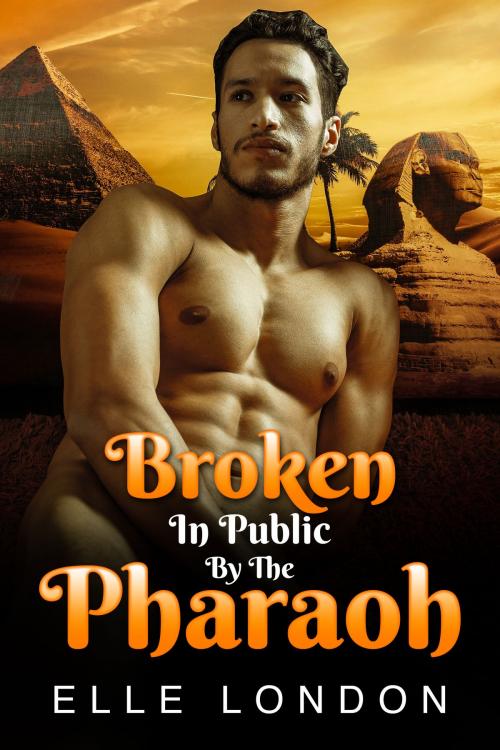 Cover of the book Broken In Public By The Pharaoh by Elle London, 25 Ea