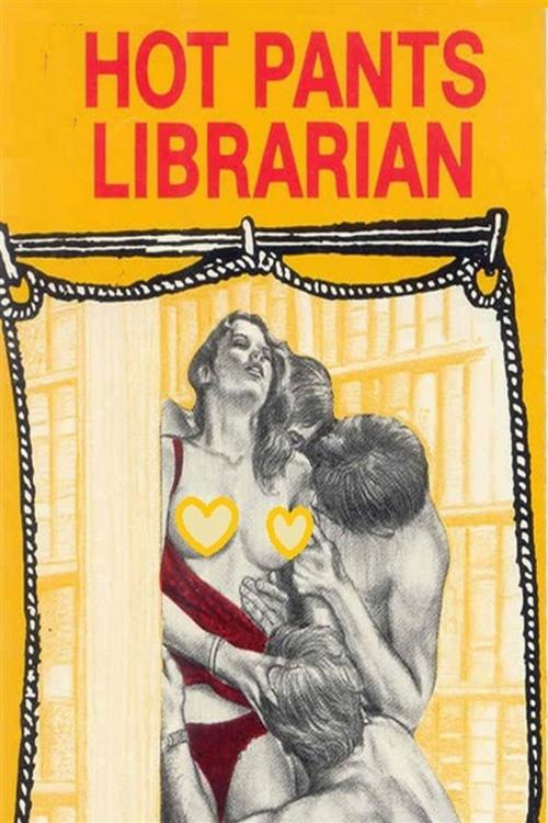 Cover of the book Hot Pants Librarian - Erotic Novel by Sand Wayne, Sandy