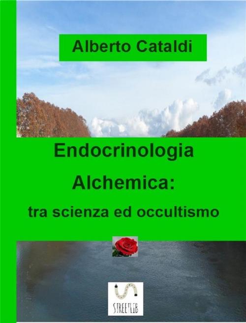 Cover of the book Endocrinologia Alchemica by Alberto Cataldi, Publisher s19019