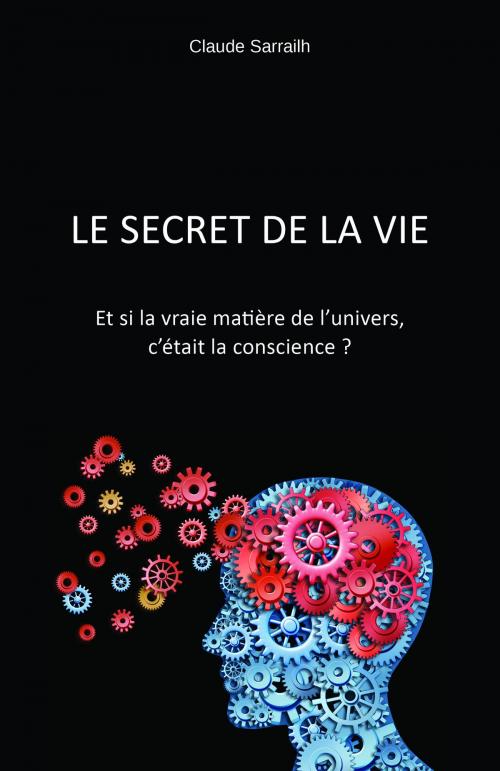 Cover of the book Le secret de la vie by Claude Sarrailh, Librinova