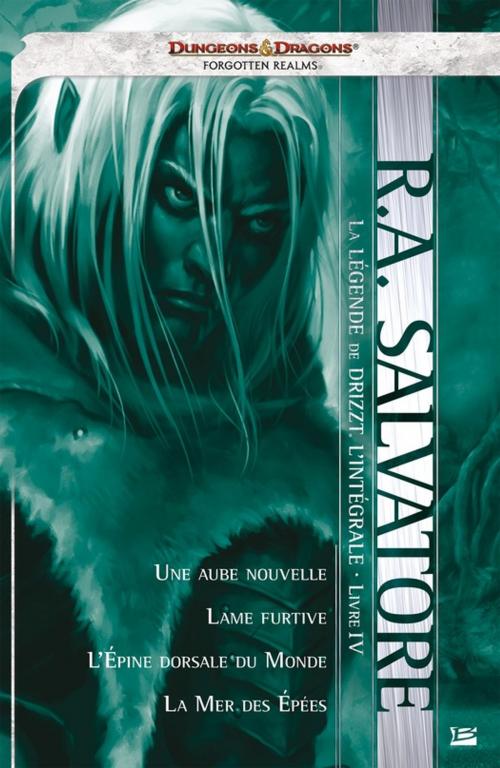 Cover of the book La Légende de Drizzt - L'Intégrale : Livre IV by R.A. Salvatore, Bragelonne