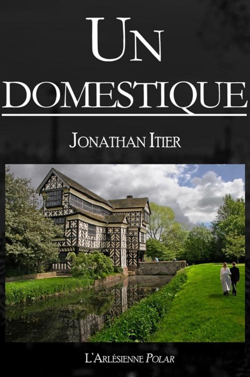 Cover of the book Un domestique by Jonathan Itier, L'Arlésienne