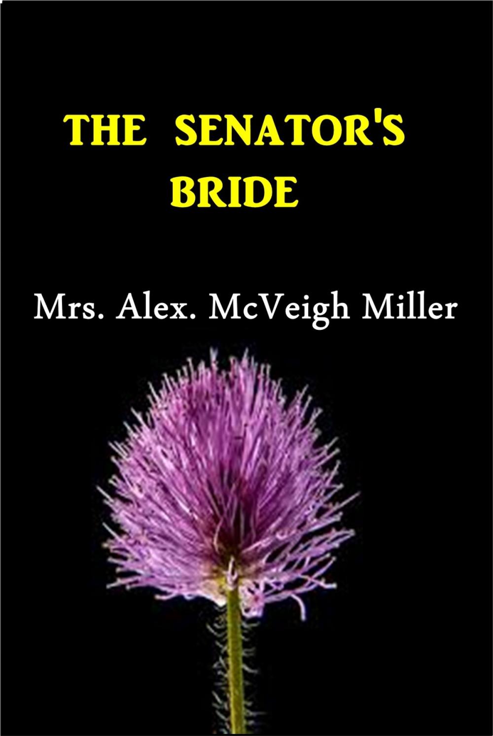 Big bigCover of The Senator's Bride