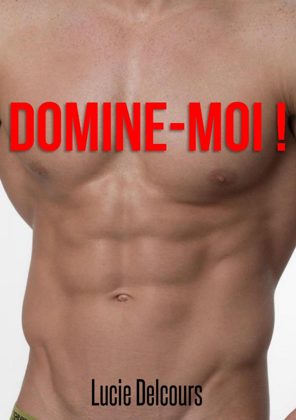 Big bigCover of Domine-moi !