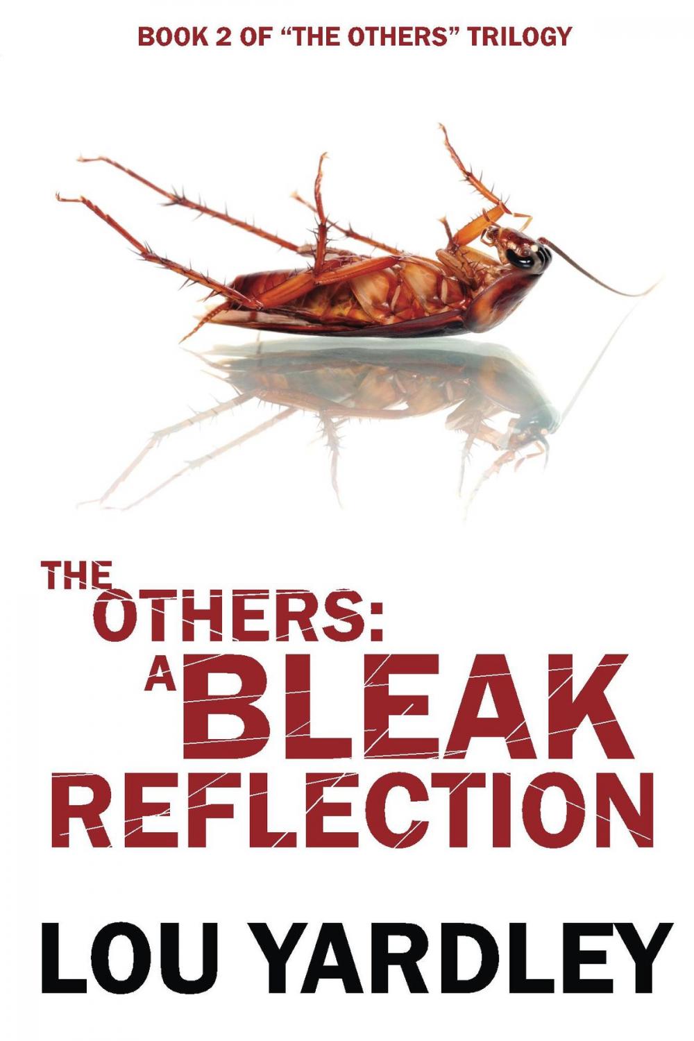 Big bigCover of The Others: A Bleak Reflection