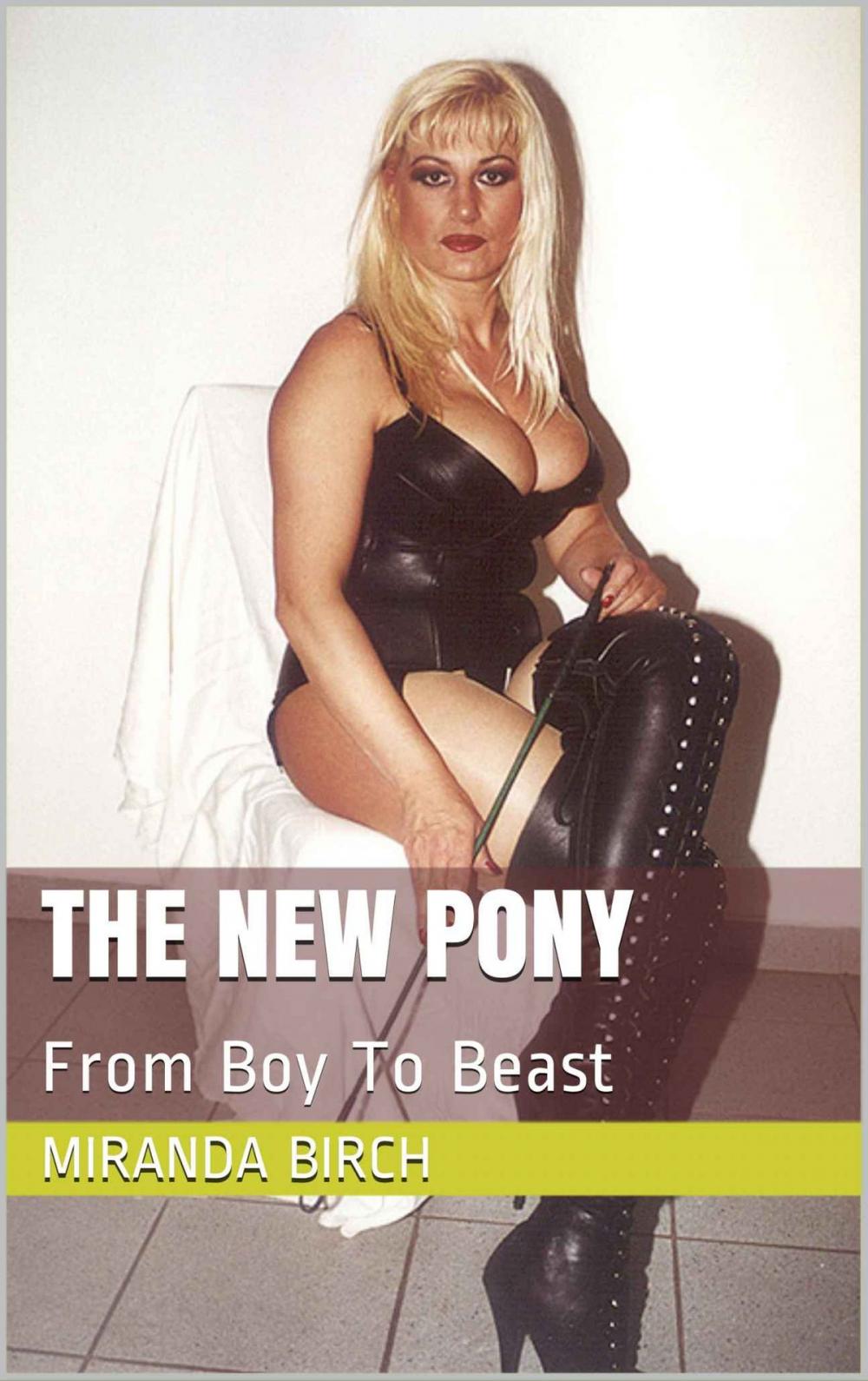 Big bigCover of The New Pony