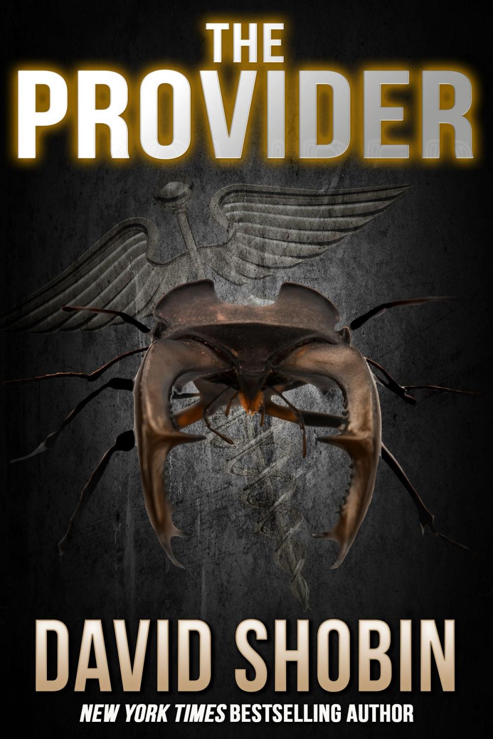 Big bigCover of The Provider