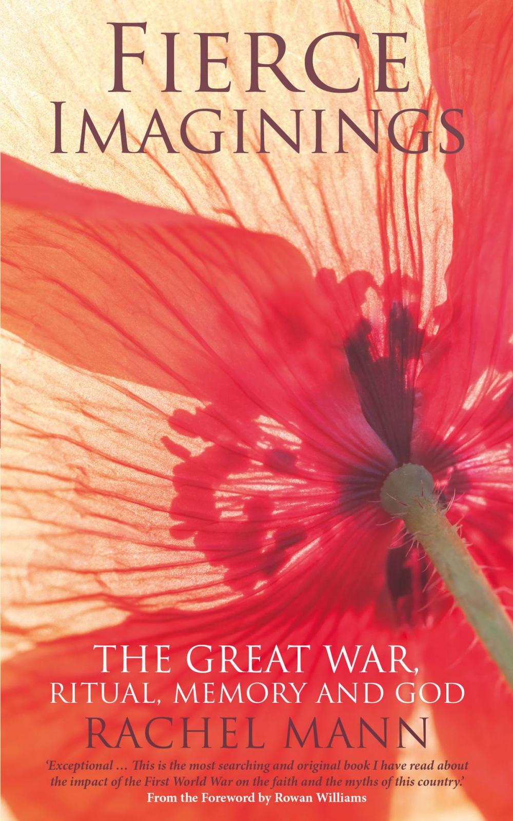 Big bigCover of Fierce Imaginings: The Great War, Ritual, Memory and God