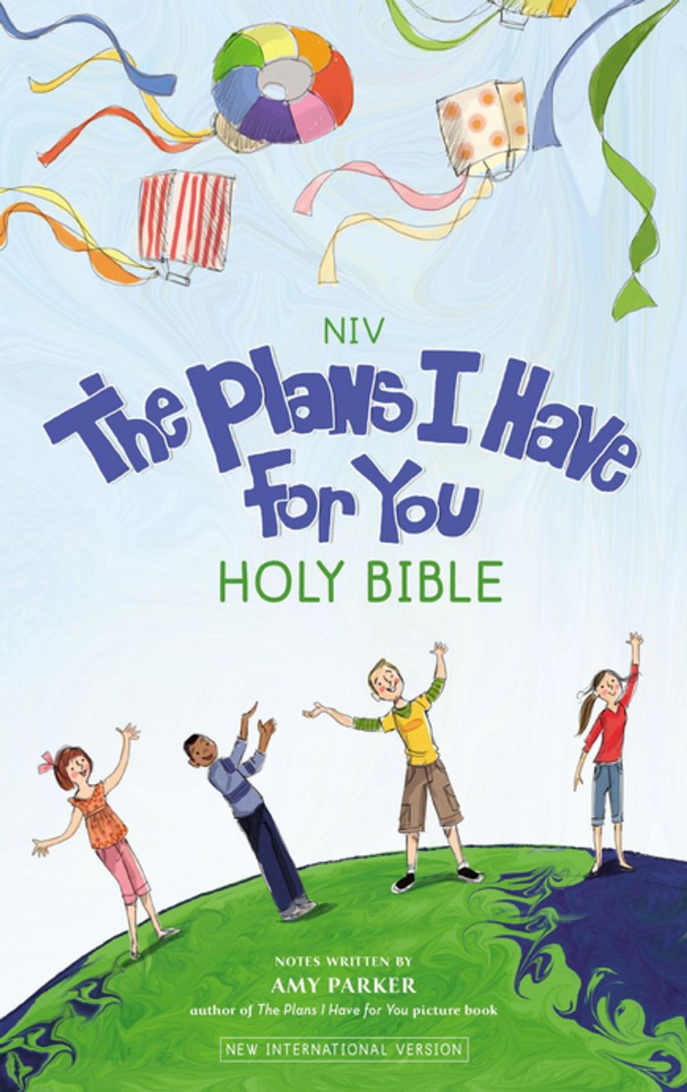 Big bigCover of NIV, The Plans I Have for You Holy Bible