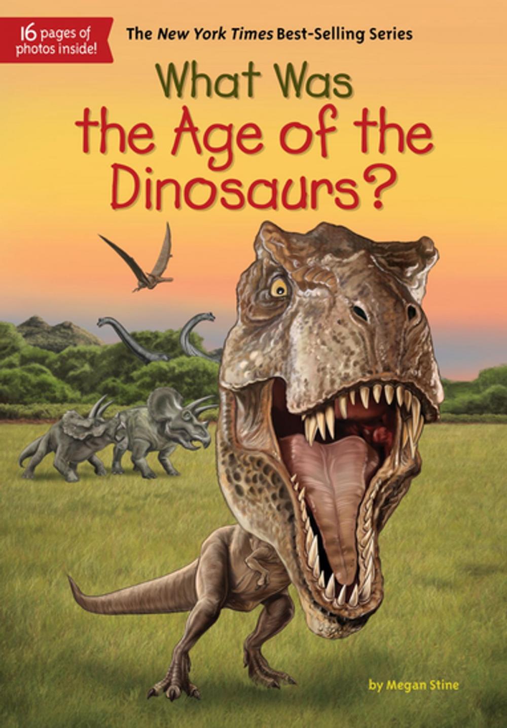 Big bigCover of What Was the Age of the Dinosaurs?